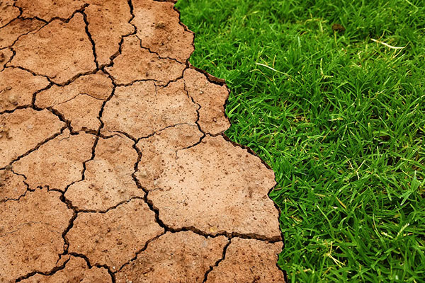 Científicos pronostican con mayor precisión consecuencias del cambio climático