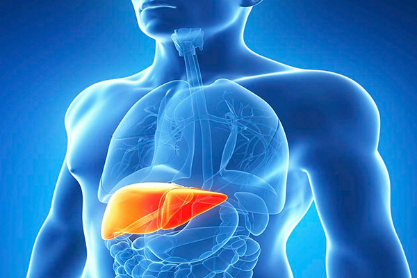 Oncólogos mexicanos buscan concientizar sobre el cáncer de hígado