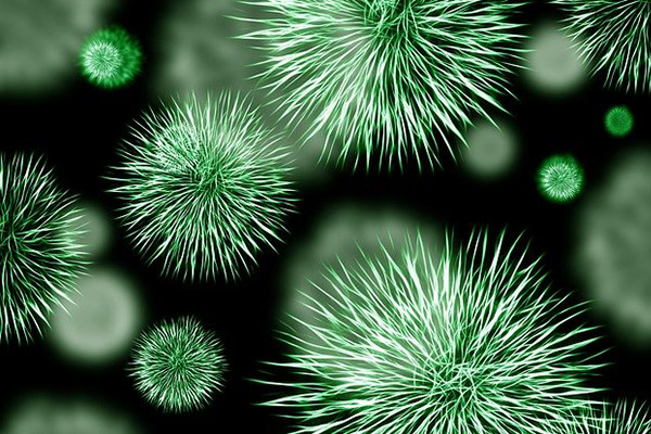 Otra vez China: alertan por reaparición de virus mortal