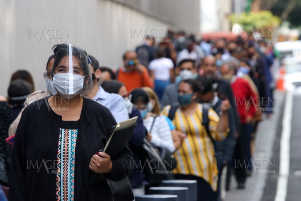 Trámites federales, un infierno en medio de la pandemia