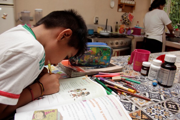 Educación a distancia: deficiente, pero necesaria