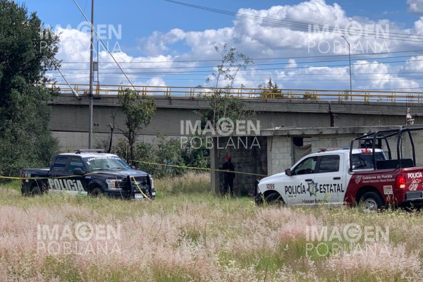 Busca a su amiga y encuentra cuerpo descompuesto en la cisterna