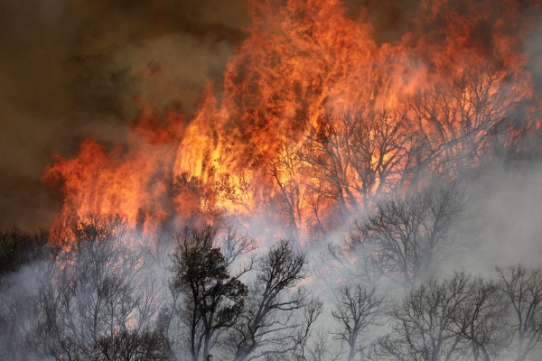 Bomberos combaten 560 incendios activos en toda California