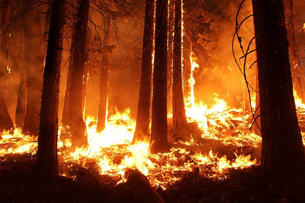 Desalojan a 2,400 vecinos en región de España por un violento incendio forestal