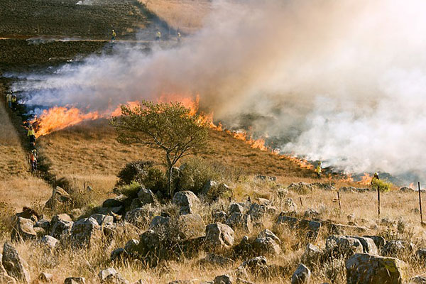 Investigadores de Stanford analizan impacto de los incendios forestales en la salud