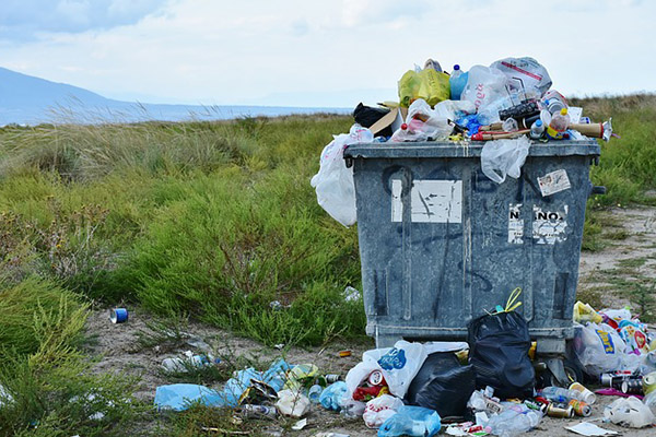 Así es como la contingencia sanitaria afecta al planeta y medio ambiente