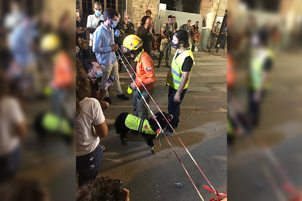 Perro de rescate detecta señales de vida bajo escombros en Beirut