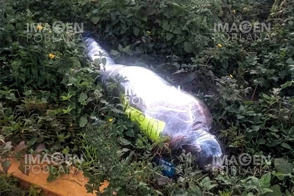 Abandonan cadáver emplayado y con mensaje; presumen ajuste de cuentas