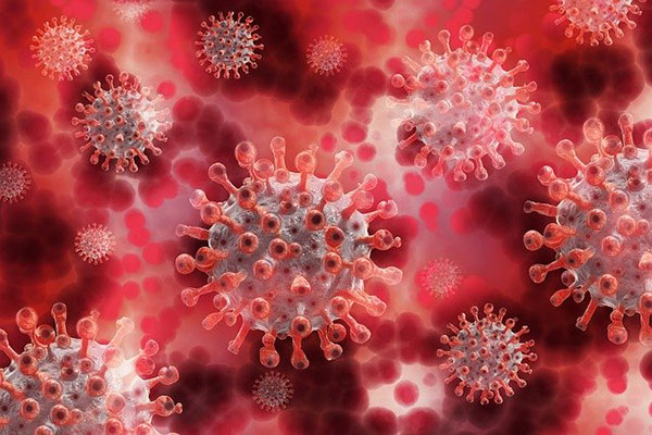 Esta enfermedad puede proteger contra el coronavirus