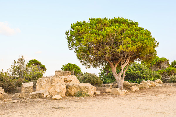 Arqueólogos descubren taller de jabón de hace 1,200 años en Israel
