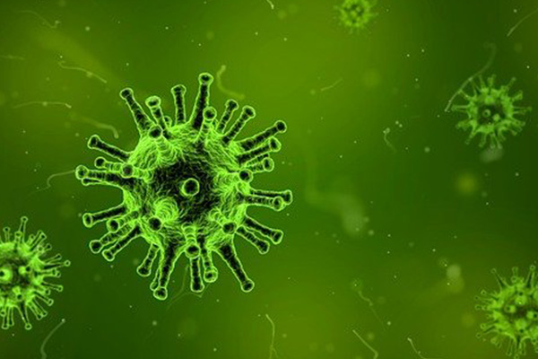 Científicos descubren que bacterias podrían ayudar a combatir el COVID-19 y otras enfermedades