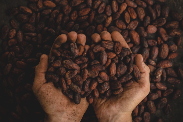 ¿Por qué el café de Colombia es el más famoso?