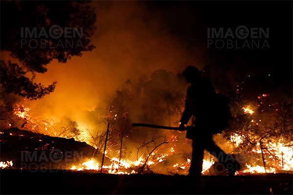 De la cárcel al infierno: Oregón recurre a los presos para sofocar sus incendios