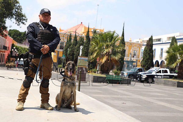 Con Estrategia de Vectores de Proximidad, detenidos 121 delincuentes en una semana