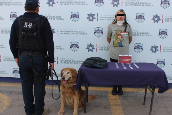 Policía municipal detiene a mujer con metanfetaminas gracias a agente canino