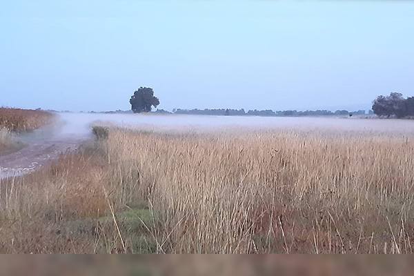 Combaten fuga de gas LP por toma clandestina en Tepeaca