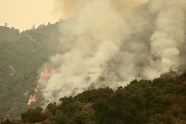 Incendios destruyen en Bolivia 1.6 millones de hectáreas de bosque