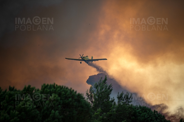 Fuertes vientos alimentan el incendio más grande jamás registrado en Colorado