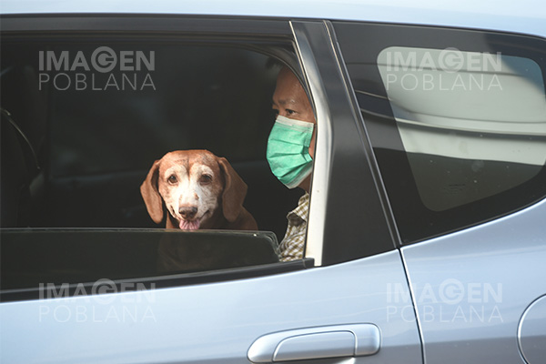 Perro canadiense da positivo por COVID-19