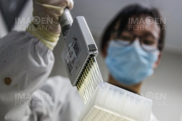 Sao Paulo recibirá en unos días seis millones de vacunas chinas contra COVID-19