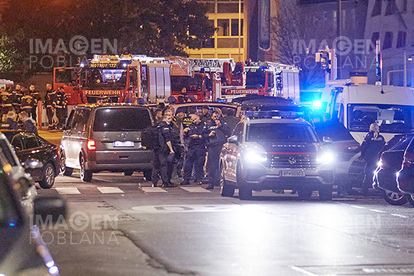 Al menos 22 heridos por el atentado en Viena