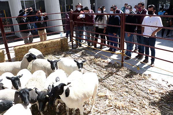 El campo es uno de los seis polos de desarrollo para el gobierno estatal: Barbosa