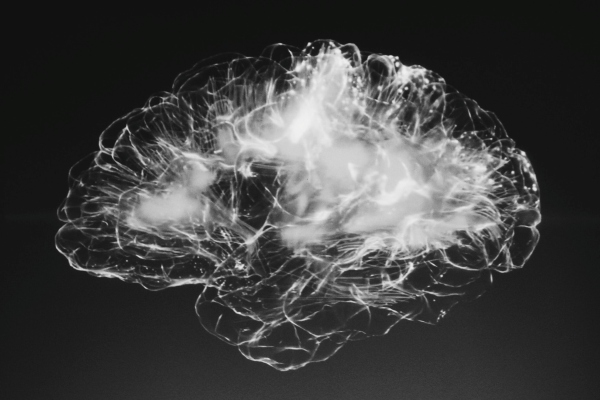 Científicos descubren que la estructura del cerebro humano se parece a la del universo