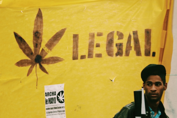 Senado aprueba regulación de marihuana para usó lúdico e industrial