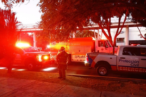 Se incendia árbol en mansión de conocido empresario