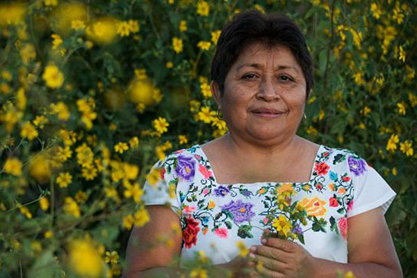Indígena mexicana gana premio ecologista Goldman por lucha contra transgénicos