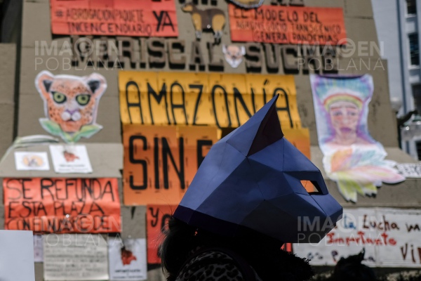 Se registra la mayor deforestación vista en la Amazonia desde 2008