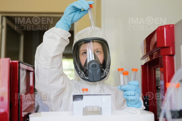 26.15 dólares costará la vacuna Sputnik V contra el coronavirus