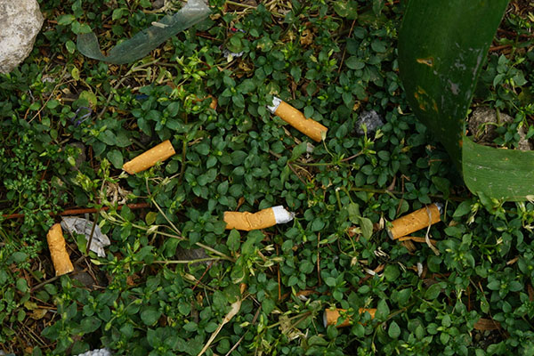 “Para bien o para mal”, una iniciativa que busca disminuir la contaminación