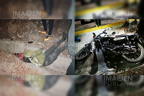 Motociclista perdió el control, chocó contra un árbol y pereció