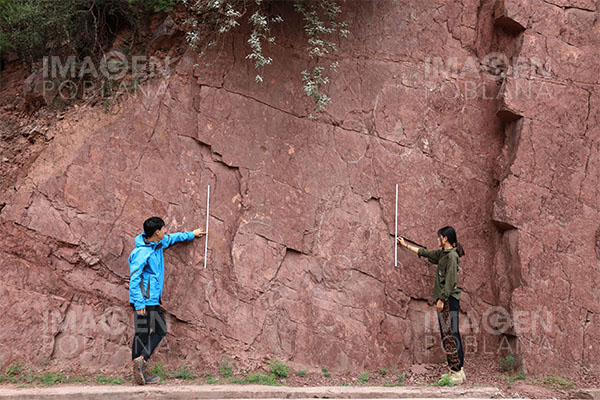 Descubren huellas de dinosaurios en región china del Tíbet