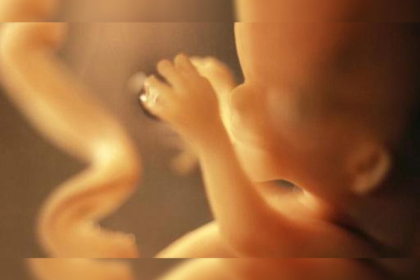 Preocupante: encuentran microplásticos en la placenta humana