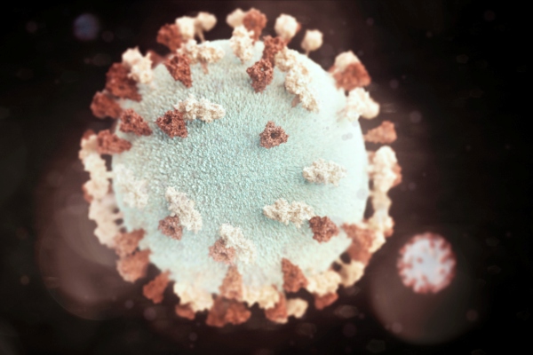 Nueva York detecta el primer caso de la nueva cepa del coronavirus