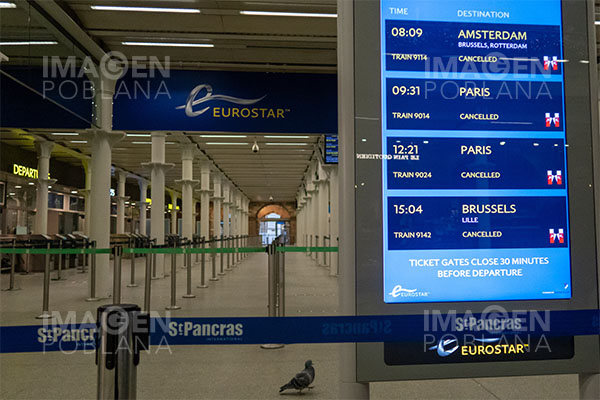 Comité de la OMS está en contra de exigir vacunación anticovid a los viajeros