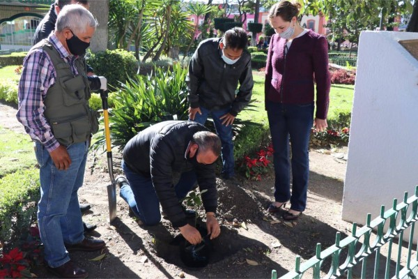 Atlixco conmemora el reconocimiento de variedad de aguacate endémica de la región