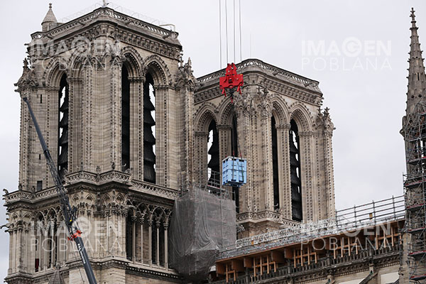 Talarán 1,000 robles que tienen 100 y 200 años para la torre de Notre Dame