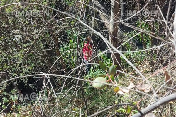 Hombre se quita la vida colgándose frente a la Zona Militar