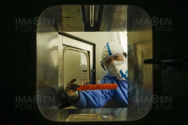 Experto de la OMS ve poco posible que el coronavirus saliese de un laboratorio en Wuhan