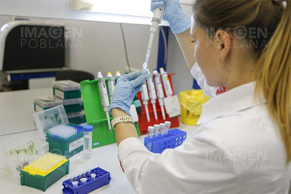 Proponen nominar al Nobel a creadores de vacunas rusas contra covid-19