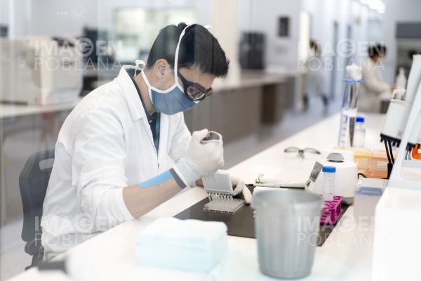 Modificarán vacuna Oxford-AstraZeneca para contrarrestar la cepa sudafricana