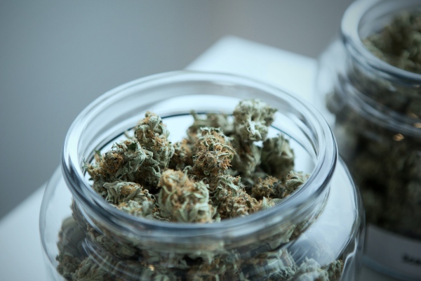 Cannabis podría ayudar a reducir la presión en adultos mayores