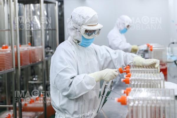 Los factores que permitieron el rápido desarrollo de vacunas contra COVID-19