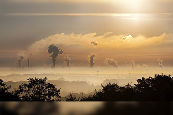 Musk ofrece 100 millones de dólares a quienes eliminen el carbono de la atmósfera