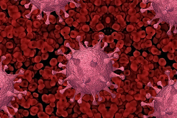 Anticuerpos de COVID-19 parecen prevenir la reinfección durante unos meses