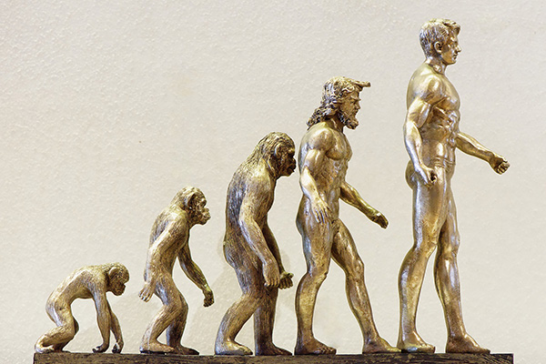 ¿El eslabón perdido? La ciencia resuelve otro enigma de la evolución humana