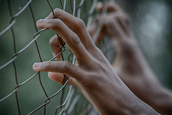 Nueva evidencia científica liberaría a “la peor asesina de Australia”